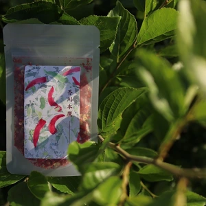 【粗びきフレーク】幻の唐辛子「香川本鷹」12g ～爽やかな甘みとコク～