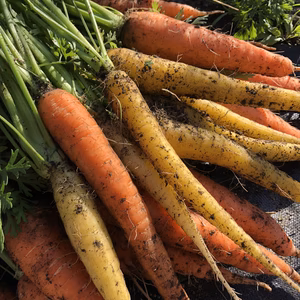 第6段♡カラフル野菜♡今だけBOX