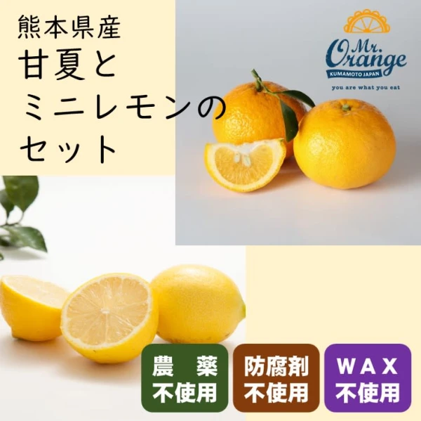 【無農薬栽培】甘夏とミニレモンのセット