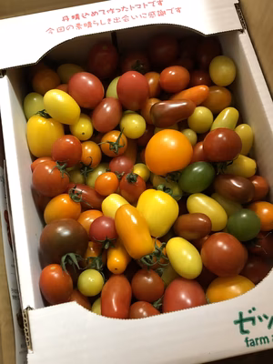 みんなの投稿の画像