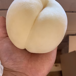 訳ありの嫁