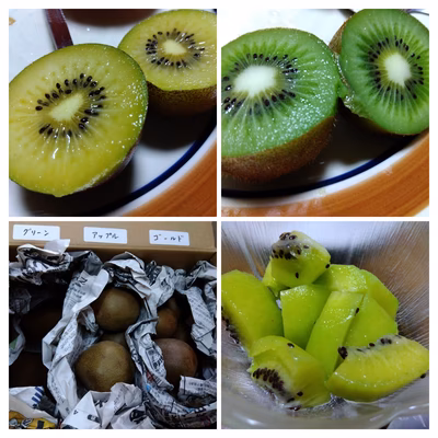 みんなの投稿の画像