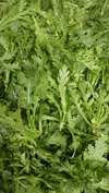 【旬の野菜10品セット】大山クロボク育ち