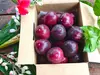 パッションフルーツ 60サイズ箱　“奄美大島の太陽をたっぷり浴びた情熱果実！”