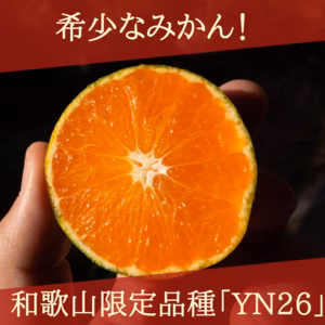 【訳あり・サイズ混合】希少！和歌山オリジナル品種「YN26」