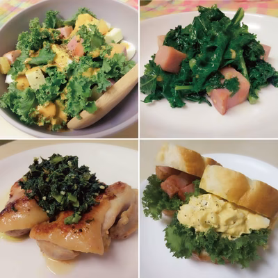 みんなの投稿の画像