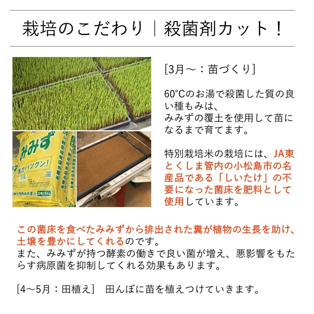 新米《栽培期間中農薬不使用米・白米》あいさい一楽米 令和5年産徳島県