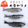 大雪ヤマメ約15～18㎝サイズ（3匹×4パック）冷凍、はらわた出し処理済