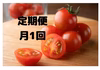 【月1回定期便・5％off】旨味の塊！出汁を与えた超濃厚ミニトマト・農カード付