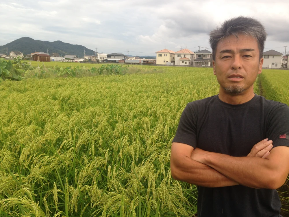 紀州自然栽培米「亀ノ尾」玄米　令和５年新米