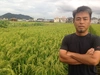 紀州自然栽培米「亀ノ尾」玄米　令和５年新米
