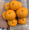 福岡県産【無農薬】自然栽培の果樹園で育った八朔（はっさく）