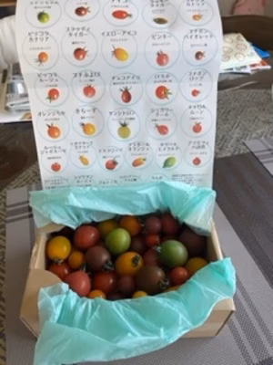 みんなの投稿の画像