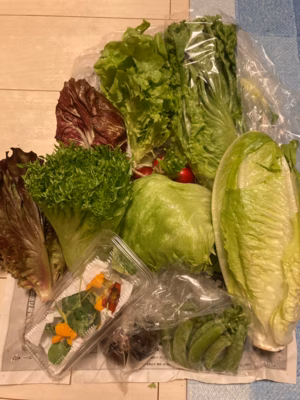 みんなの投稿の画像