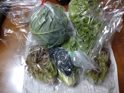 みんなの投稿の画像