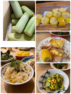 みんなの投稿の画像