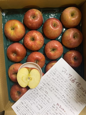 みんなの投稿の画像