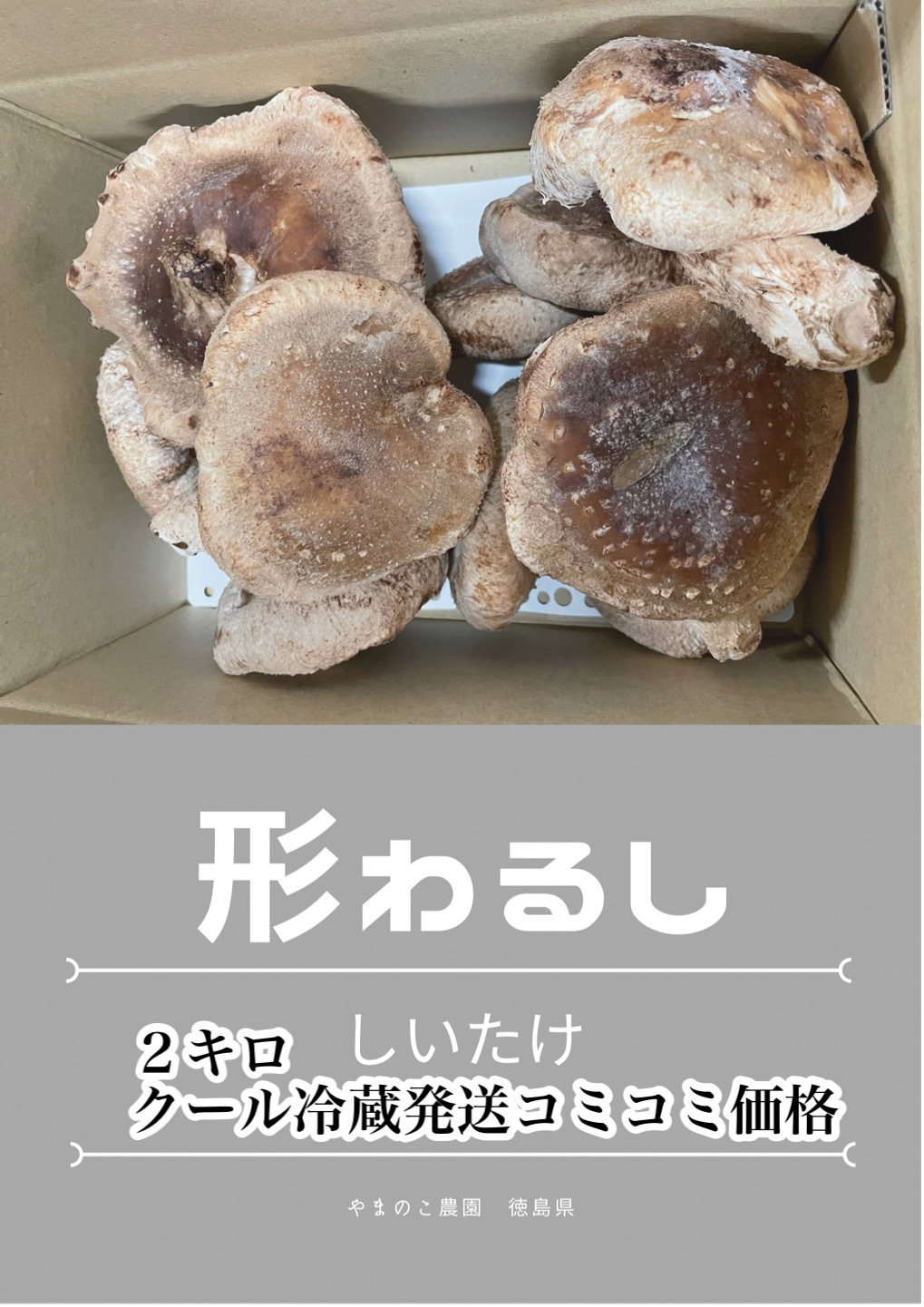 椎茸屋 楽天市場】南島原しあわせしいたけ 肉厚ステーキ用生椎茸セット