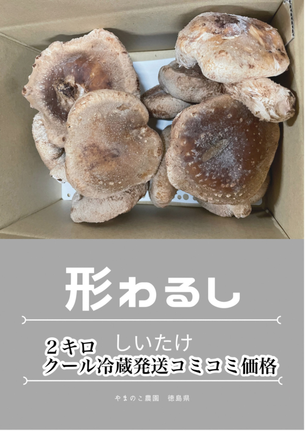 農家直送 頑張って成長したが形が悪い椎茸さん2キロ送料込み｜しいたけ