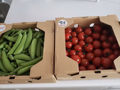 みんなの投稿の画像