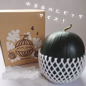 シャリっとジュワッと、小玉スイカひとりじめボンボン【化学肥料不使用】