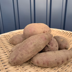 【転換期間中有機】金時　3㎏（2Sサイズ）