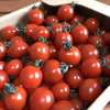 ★スイートメロウ★高糖度★ミニトマト★フルーツトマト★産地直送