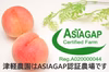 早期予約価格　桃の王様　川中島白桃　ASIAGAP認証農場：津軽農園　農家直送