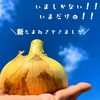 【訳あり】 令和３年産 淡路島産 新玉ねぎ 5kg