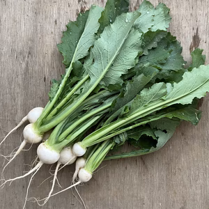 【冷蔵便】瑞々しい　葉付きかぶ　1キロ