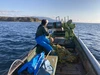 日本海の荒波育ちの天然もの「佐渡産天然活サザエ」
