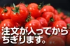 【希少な高濃度フルーツトマト】ソムリエミニトマト　プラチナ