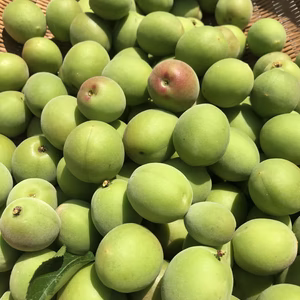 今もぎたて梅‼️選べる３キロと２キロ