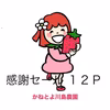 感謝セール １２Ｐ