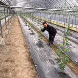 安部川康幸 | あべかわ園