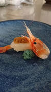【超希少  本日で終了】春の牡丹海老 中サイズ  500g  