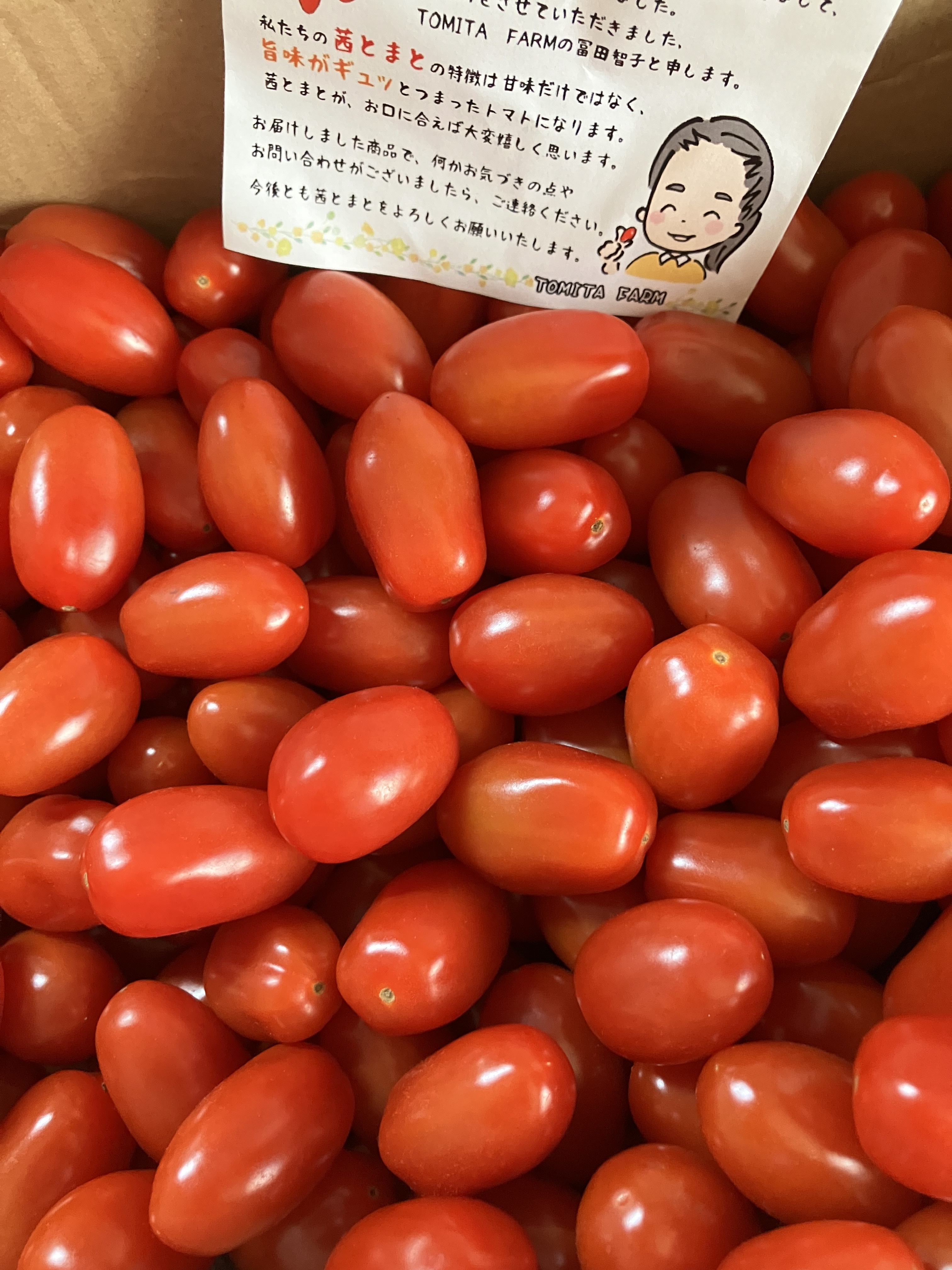 熊本県熊本市｜トミタ農園｜冨田伴宜さんのみんなの投稿｜ポケット