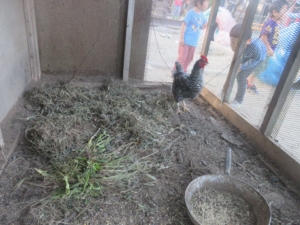 14572966_1079762972131482_559943421186152014_n