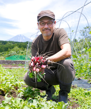 そら豆1kg 農薬化学肥料不使用 冷蔵便 農家漁師から産地直送の通販 ポケットマルシェ