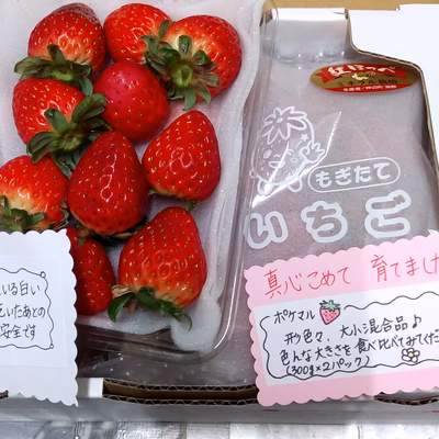 みんなの投稿の画像