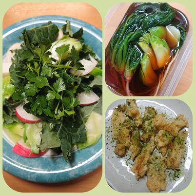 みんなの投稿の画像