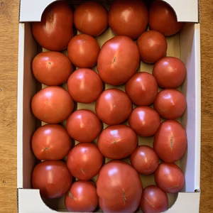 有機トマト規格外品4ｋｇ箱入