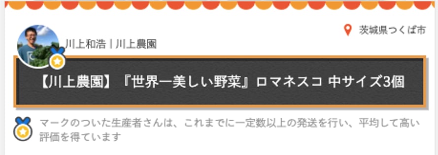 世界一美しい野菜 ロマネスコ を買って分解して観察して食べてみたよ 農家漁師から産地直送の通販 ポケットマルシェ