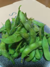完熟　枝付き枝豆　自然栽培　肥料農薬不使用　自家採種