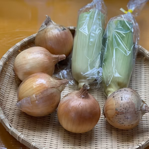 【お試しセット】訳ありホワイトコーンとタマネギ