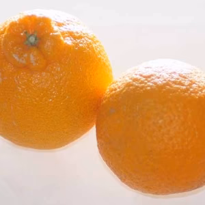 【今が旬】不知火晩柑（糖度1３度）M/L混在❬5kg❭和歌山産