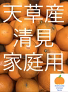 天草産　清見　家庭用