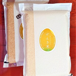 まとめて送って超お得！　玄米、白米（精米済）4.5kg（30合）各１同梱セット