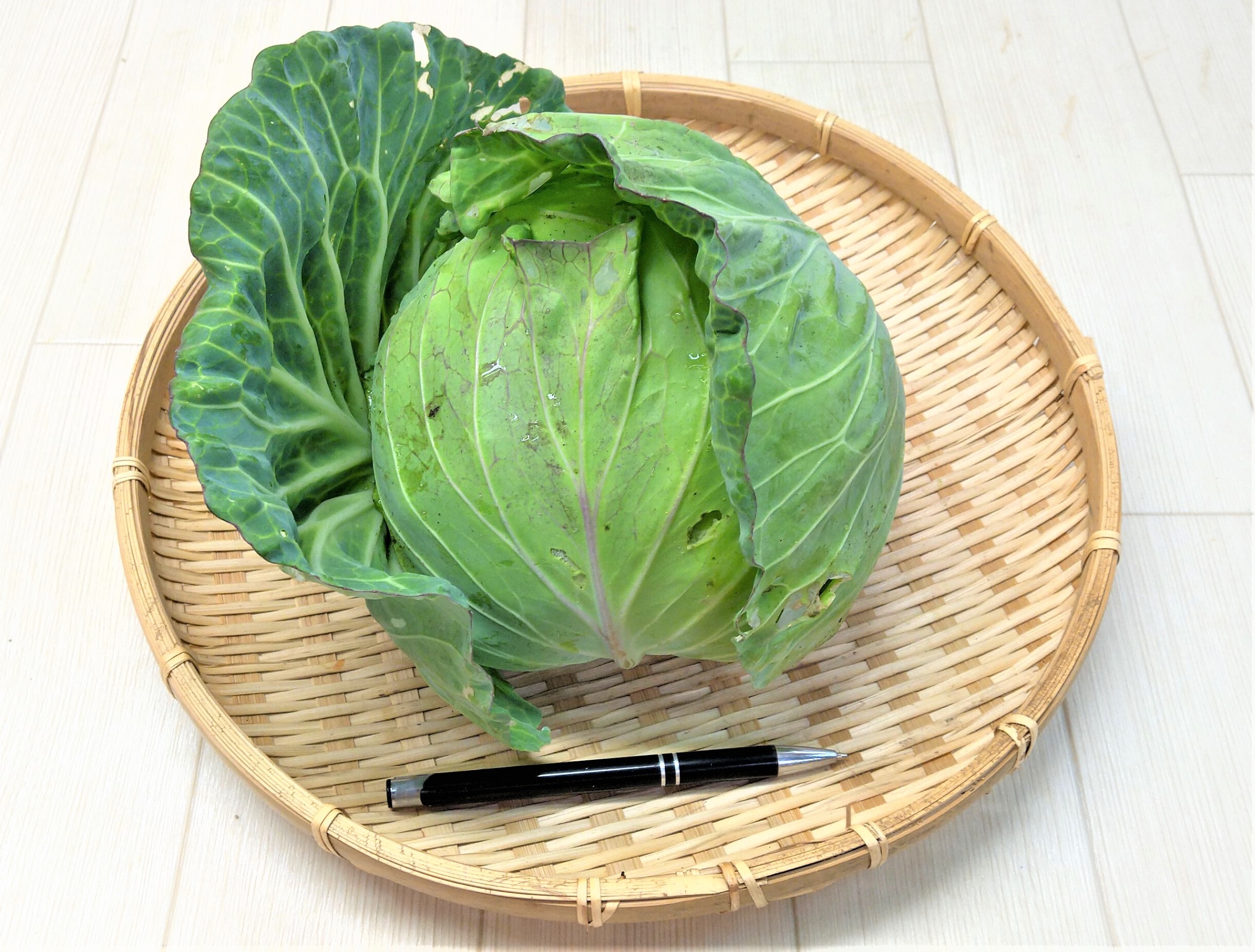 農薬不使用（無農薬）栽培 平キャベツ｜キャベツの商品詳細