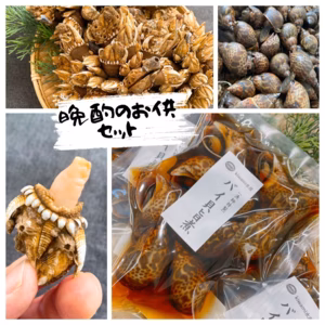 【晩酌のお供セット】浜名湖産天然カメノテ塩茹でとバイ貝旨煮セット
